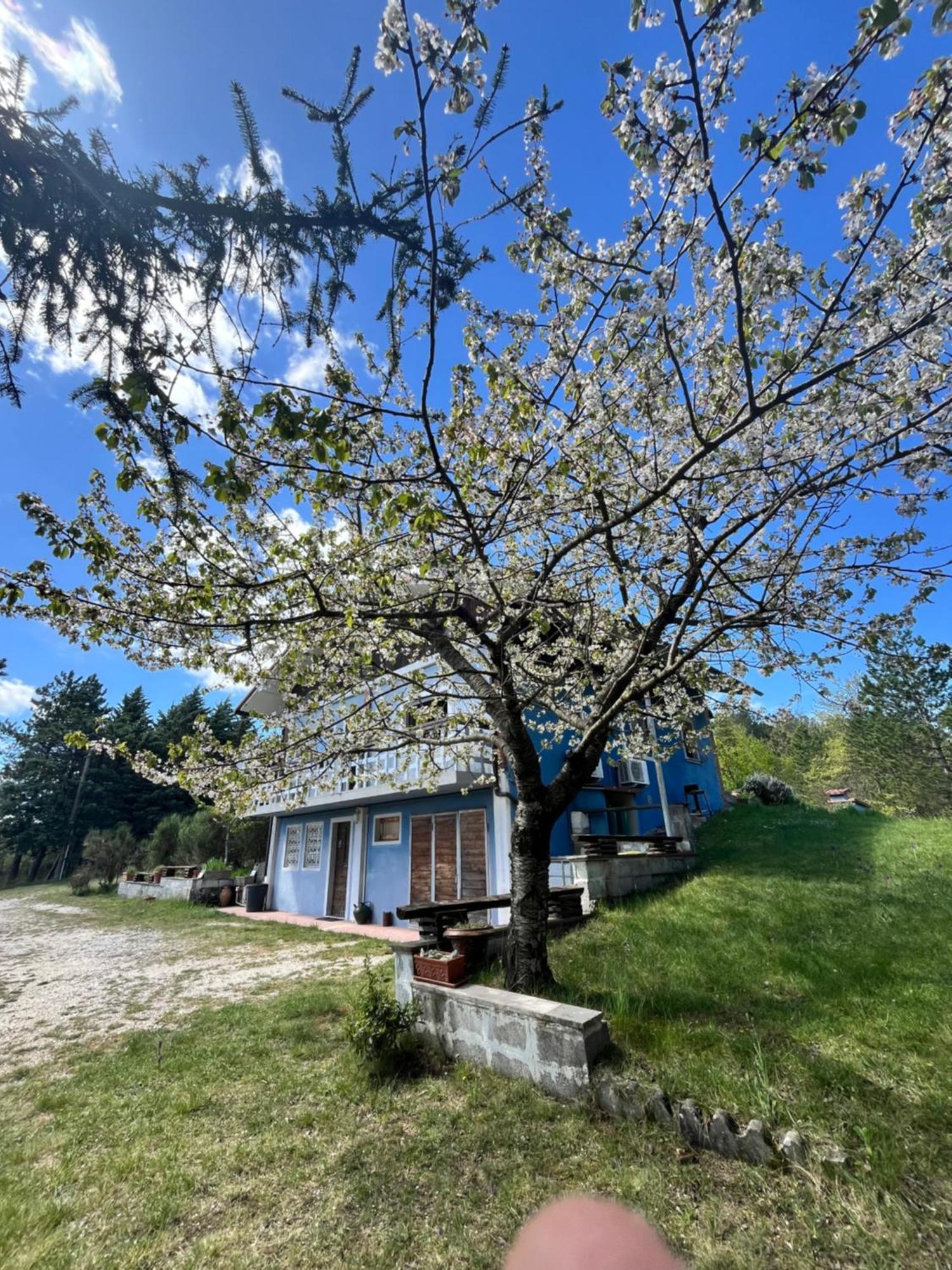 Chalet Ricciano فولينيو المظهر الخارجي الصورة