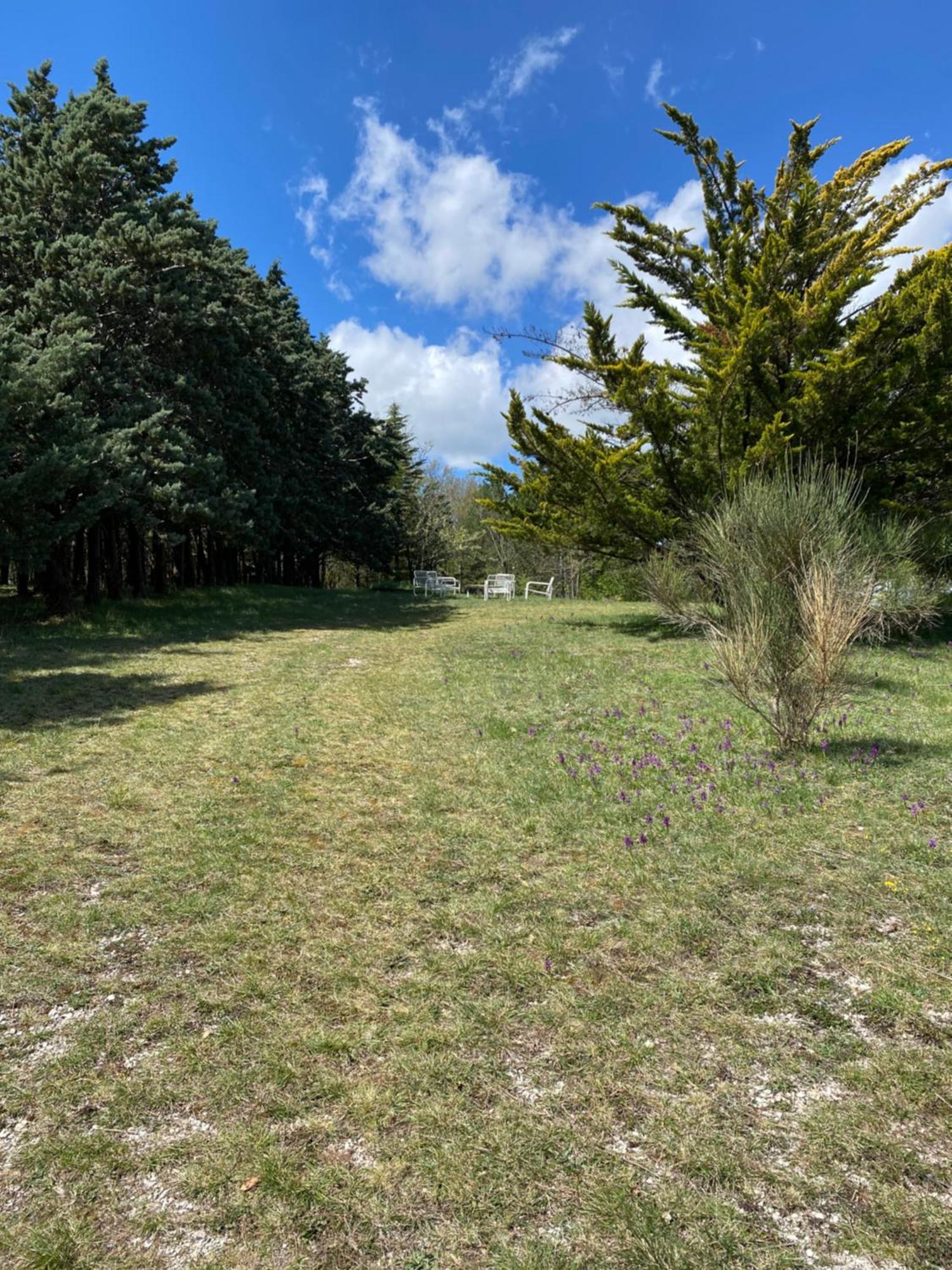 Chalet Ricciano فولينيو المظهر الخارجي الصورة